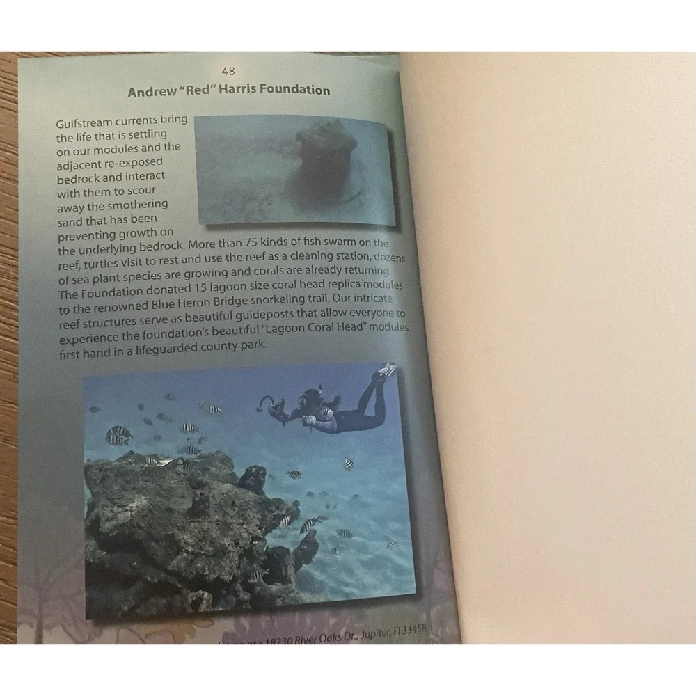 Professor Clark The Science Shark Book Series By Scott And Karen Lamberson
